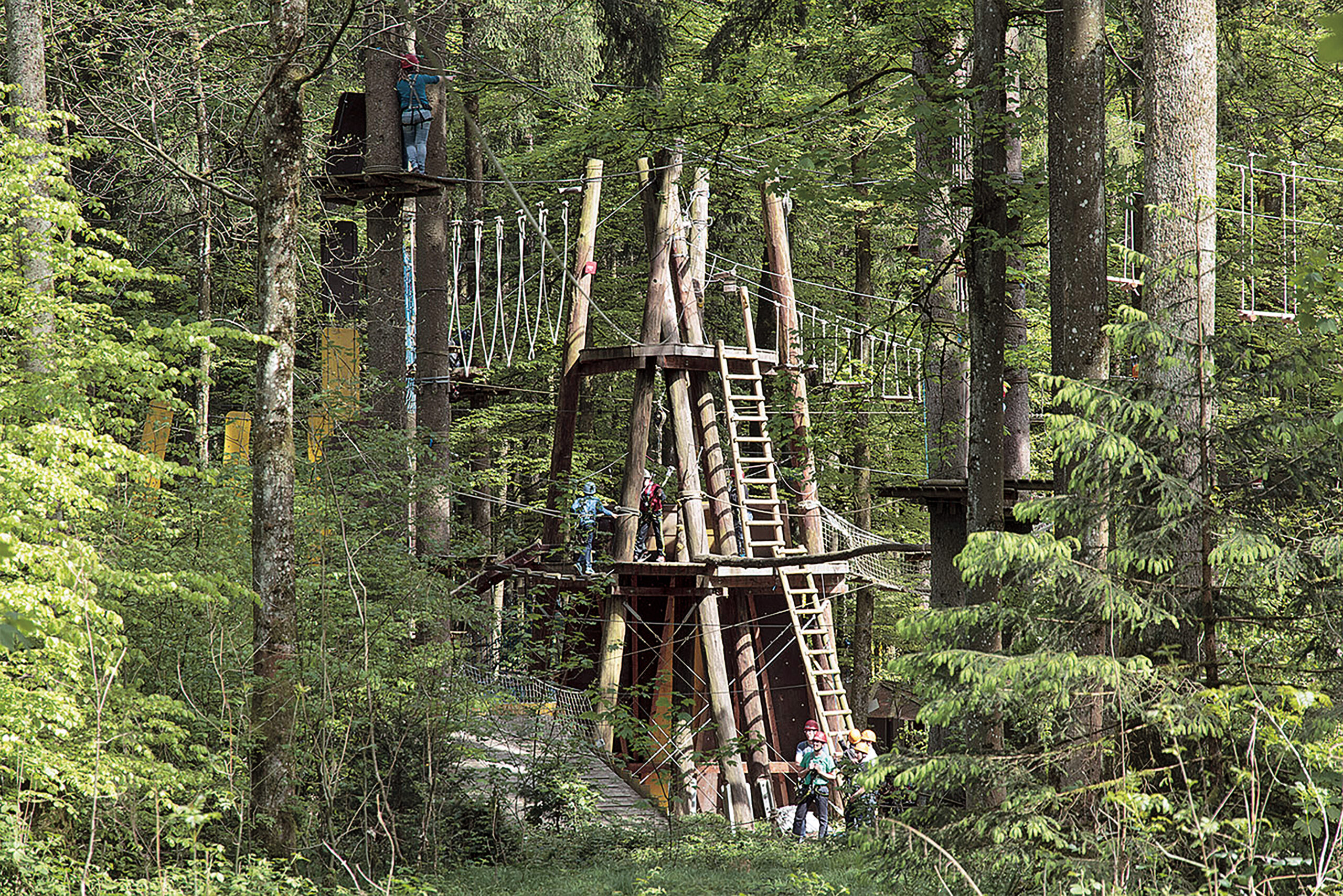 Biberach, Kletterwald Biberach, Ferien rund um den Bussen (c) Kletterwald Biberach