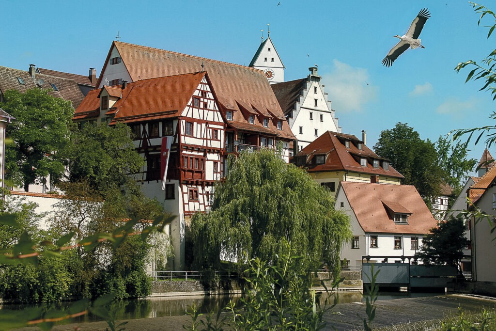 Riedlingen mit Storch, Ferien rund um den Bussen