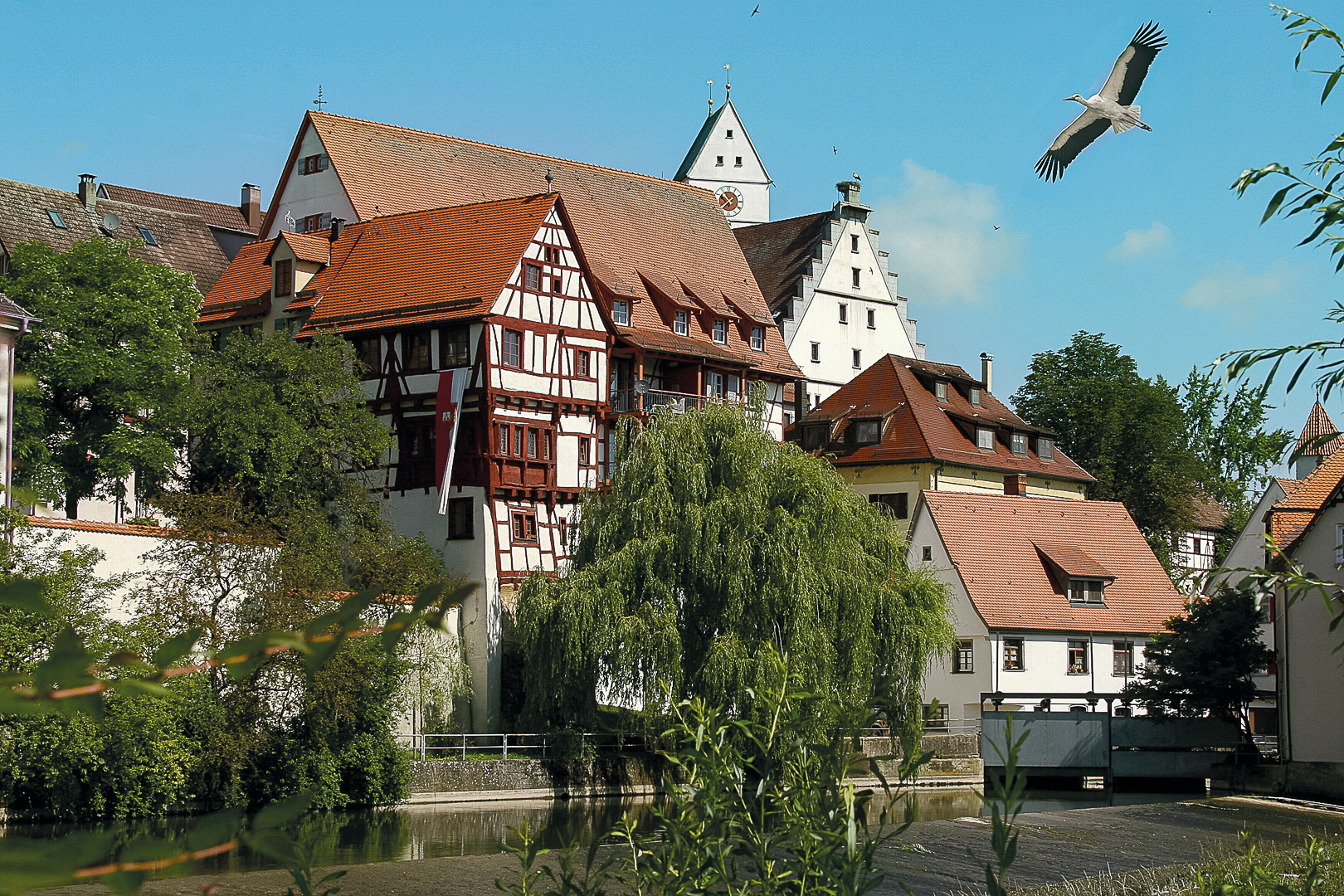 Riedlingen mit Storch, Ferien rund um den Bussen